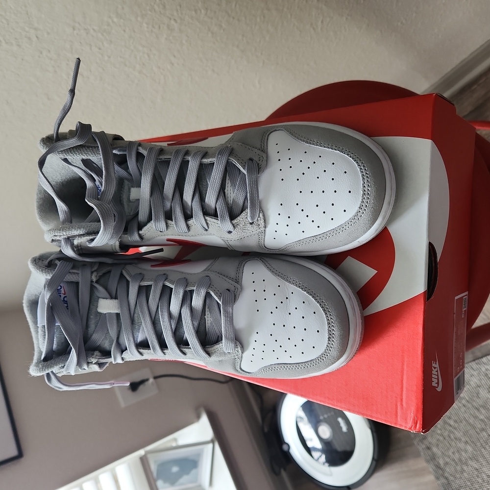 Nike dunk hi